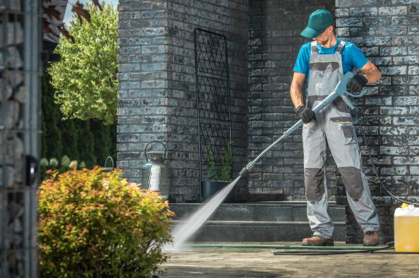 Best Dumpster Area Cleaning  in Tazewell, VA